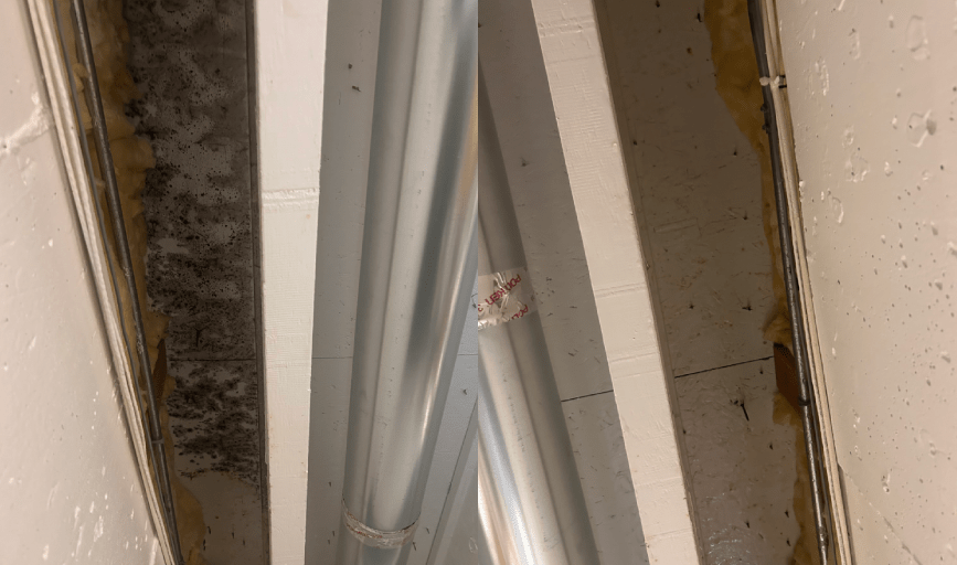 Mold Remediation